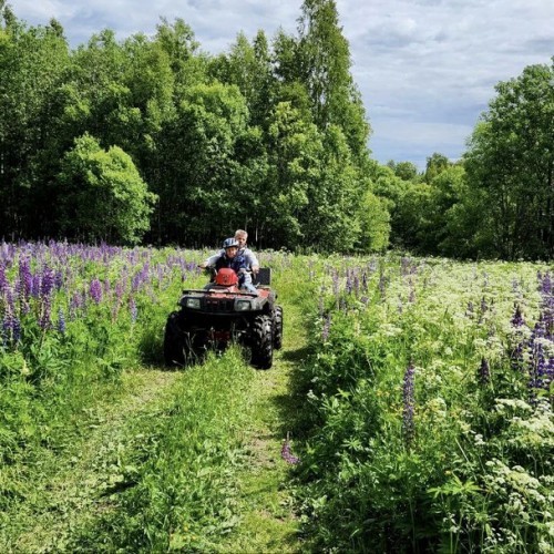 Перезагрузка в Приладожье с йогой, баней, сибирским чаном и сапами (всё включено)