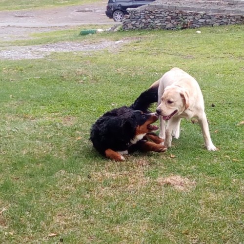 Алтайские активности и главные достопримечательности в мини-группе