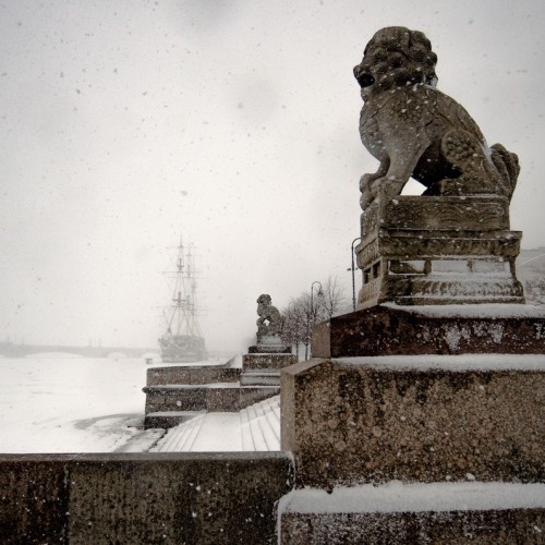 Трансфер из аэропорта/вокзала + авторская экскурсия по Петербургу