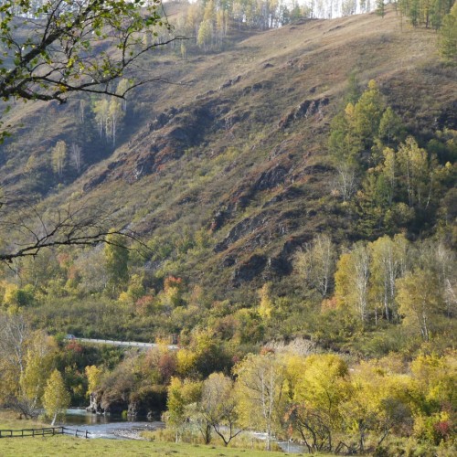 Конная прогулка вдоль горной реки Семы