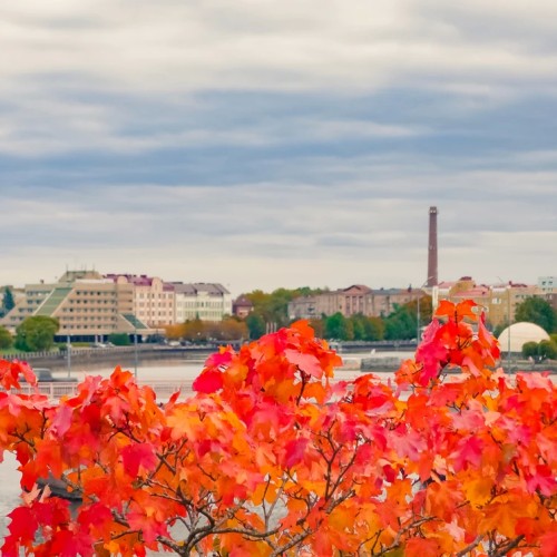 Из Петербурга в Выборг — на авто или мотоцикле