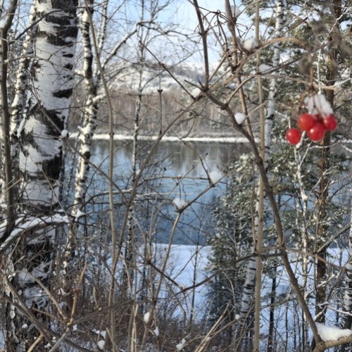 Индивидуальное путешествие по Алтаю: исследуем край на джипе