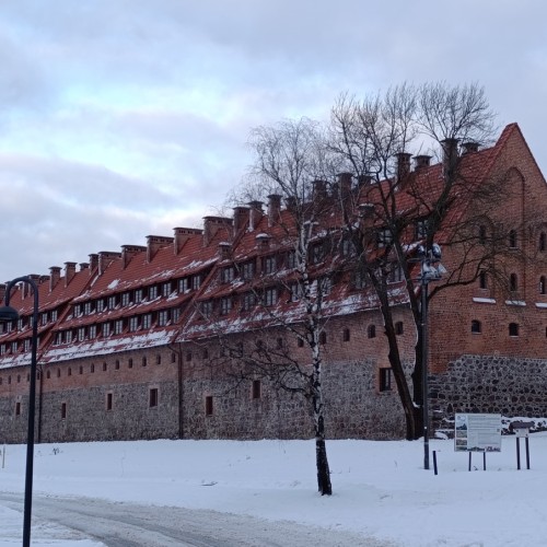 Прусские воительницы и великие полководцы 19 века