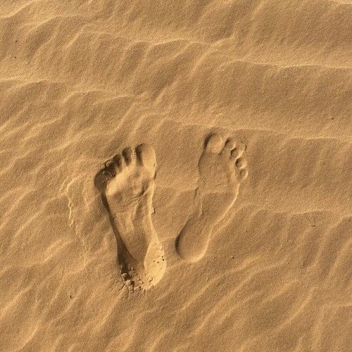 Насыщенный тур по Калмыкии: буддийские святыни и знакомство с кочевым бытом