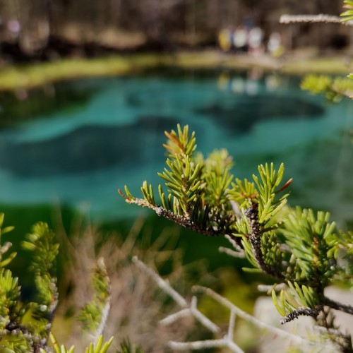 Фототур по золотому Алтаю в мини-группе: всё главное в живописный период