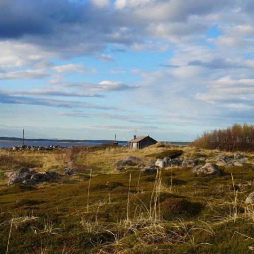 Перезагрузка на Соловках: тур для гостей из Москвы