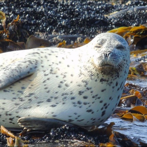 2500 км по Камчатке: вулканы, источники, океан