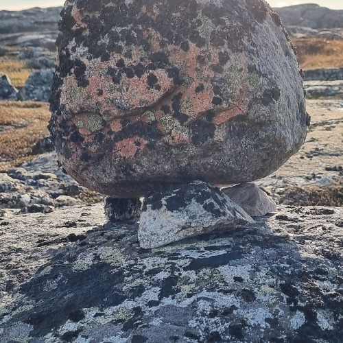 Рыбалка в тундре с ночёвками в палатках: ловим красную рыбу в озере, море или на сопках