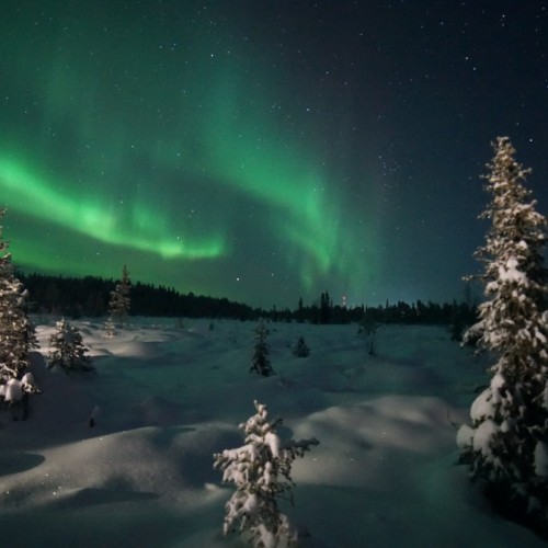 Приключения на Кольском в мини-группе: айс-флоатинг, северное сияние и Териберка