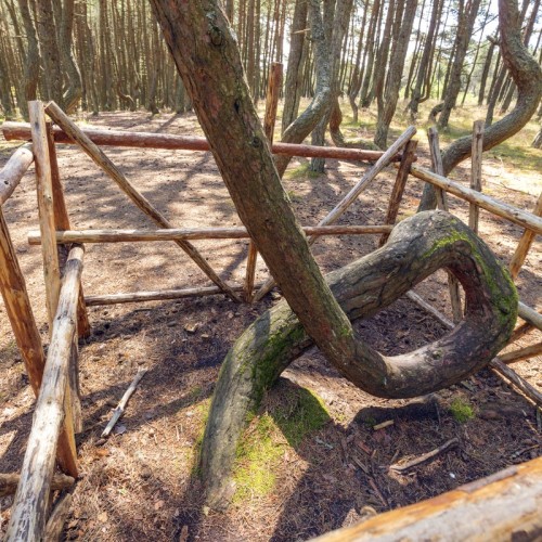 Куршская коса — уединение с природой
