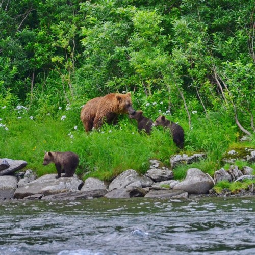 Рыбалка на камчатского лосося в мини-группе