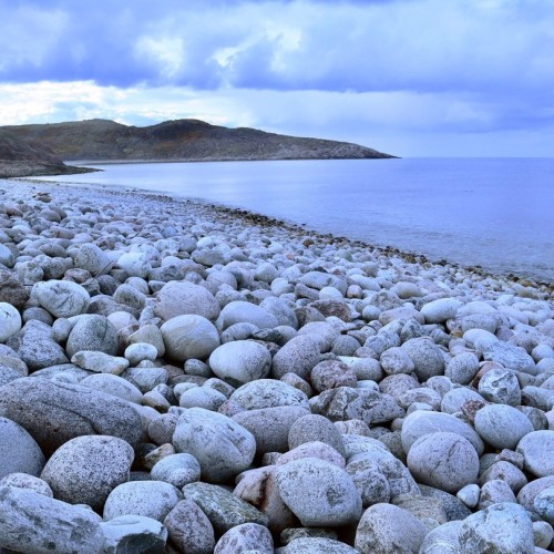 Тур за полярным кругом: Мурманск и Териберка в мини-группе
