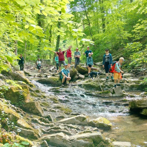 Поход с палатками и автосопровождением через горы в Геленджик