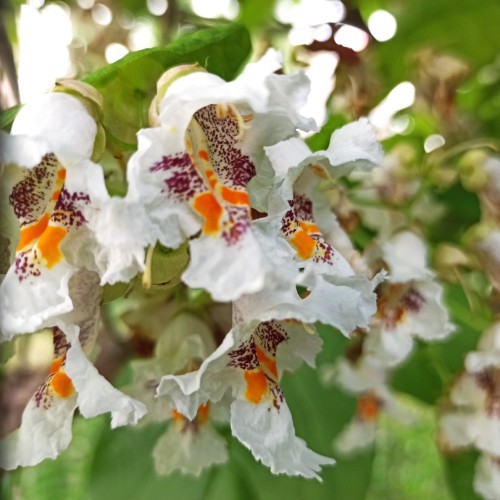 Маршрут №30: поход через горы к морю