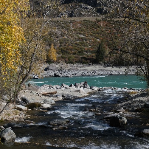 Знакомство с Алтаем своей компанией: снежные вершины, кристальные озёра и заповедные тропы