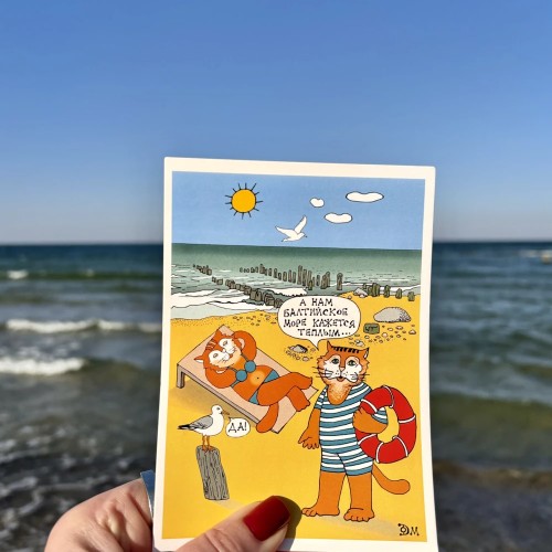 Добро пожаловать в Светлогорск!