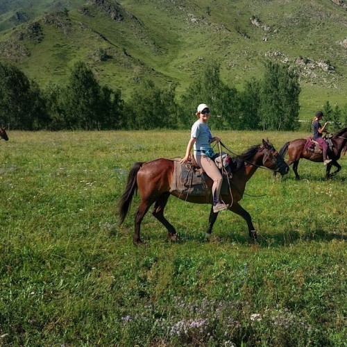 По цветущему Алтаю верхом: конный тур с проживанием на базе (всё включено)