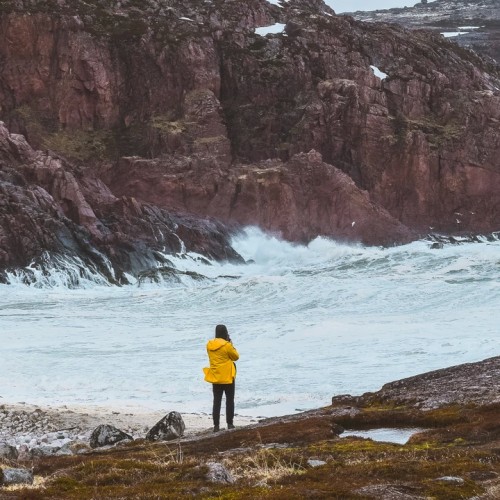 За атмосферой Арктики: тур из Мурманска в Териберку с дегустацией и прогулками по главным местам