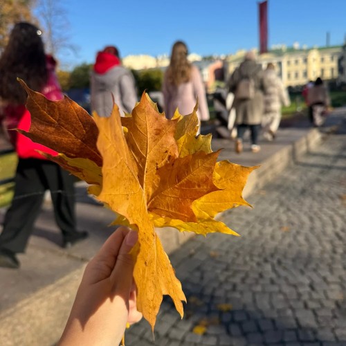 Групповая иммерсивная прогулка по центру Петербурга
