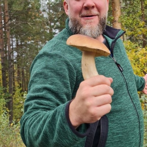 Детокс в Карелии: место силы, дары леса и походная романтика (всё включено)