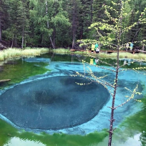 Насыщенное авто-пешее путешествие по Горному Алтаю