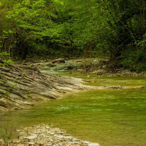 Запах разнотравья и никого вокруг: поход с рюкзаками по долине реки Пшада (всё включено)