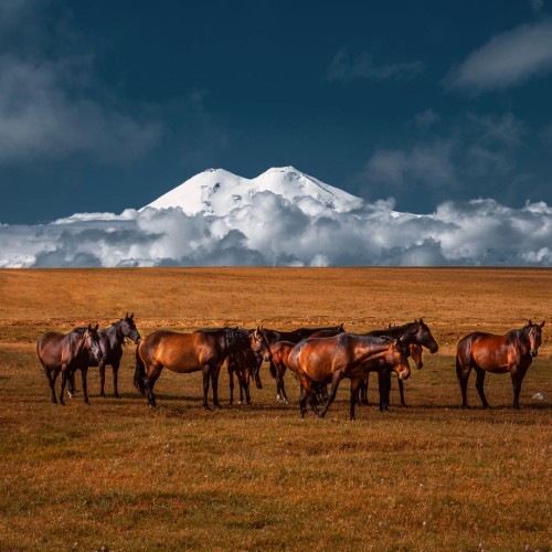 Созвездие гор: курорты КМВ, Домбай, Архыз и Эльбрус