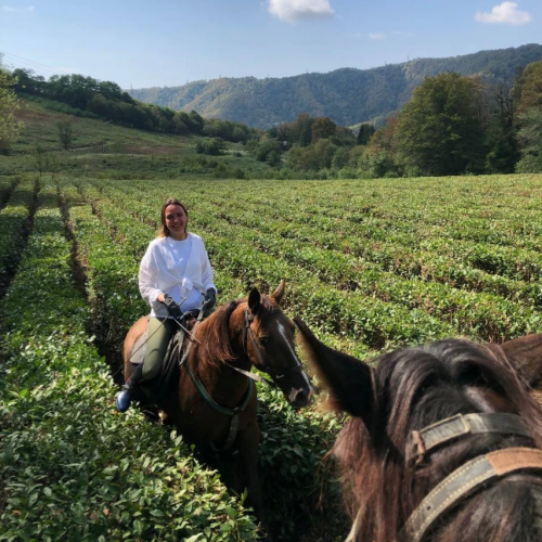 Конные прогулки для уверенных всадников: горы, море, чайные плантации и реликтовые леса Сочи