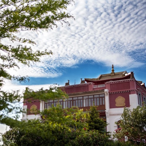 На выходные в Калмыкию: Элиста и цветущие степи