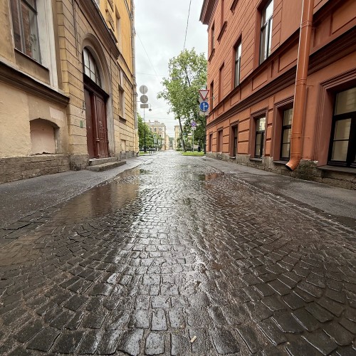 По Васильевскому с островитянином!