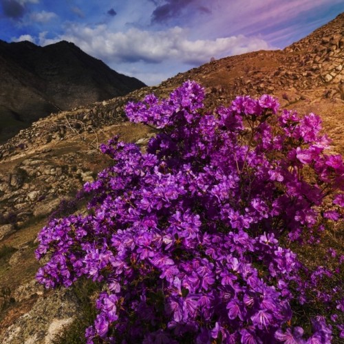 Главное на Алтае: автопутешествие в мини-группе