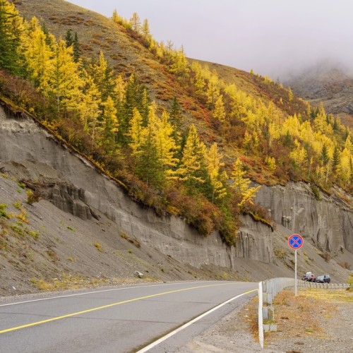50 оттенков золота: путешествие по сентябрьскому Алтаю в мини-группе