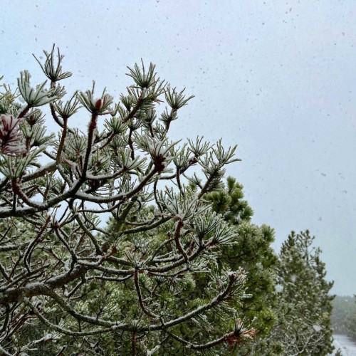 Европейские выходные на Балтийском побережье в мини-группе