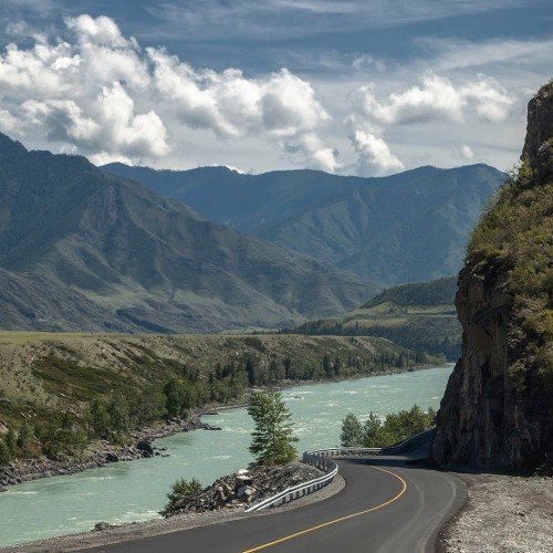 Лиловый наряд Алтая: путешествие по знаковым локациям и цветение маральника