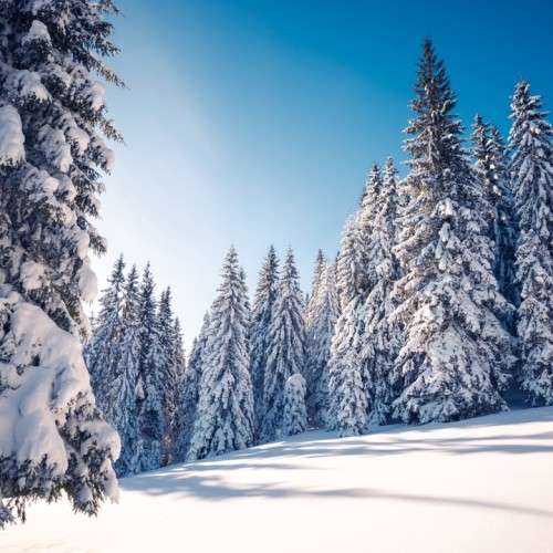 Байкальск и окрестности: от заповедника и экопарка до Тункинской долины и Аршана