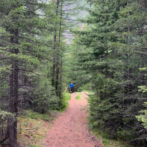 Волшебный Алтай: на джипах и пешком по предгорьям и склонам