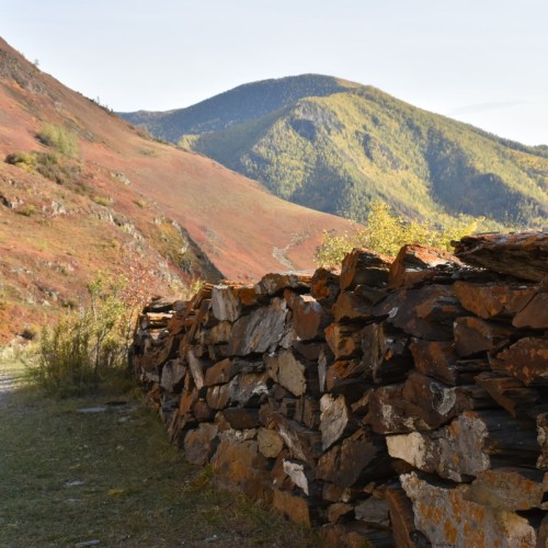 Авторская экскурсия по древним памятникам Алтая