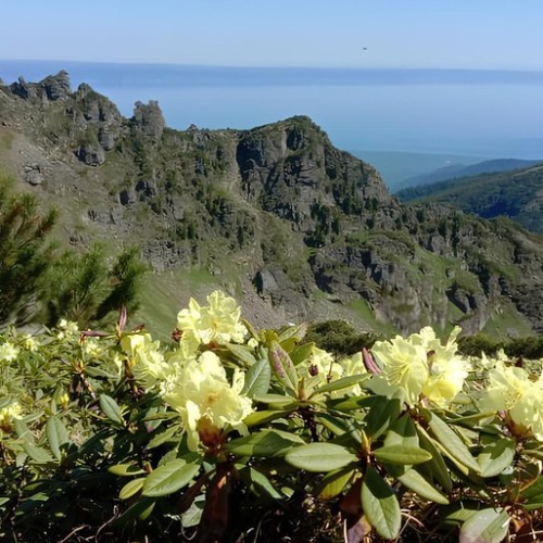 1000 и 1 впечатление на Байкале (всё включено): этнопогружение, кухня, треккинг и необычные локации