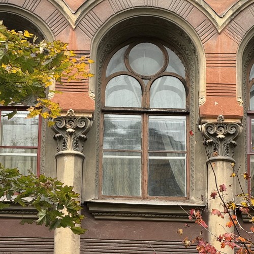 По Васильевскому с островитянином!