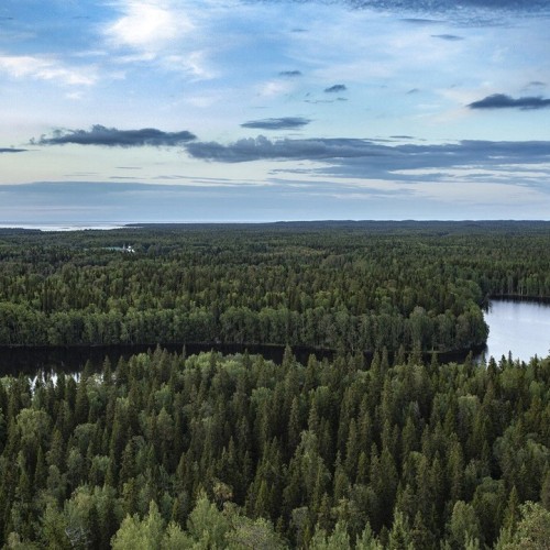 Путешествие на Соловки: погружение в историю, прогулки на катере, лодке и пешком