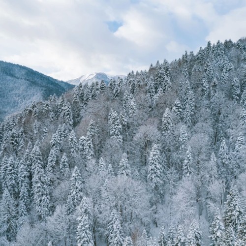 В Адыгею за походами, пещерами и древностями