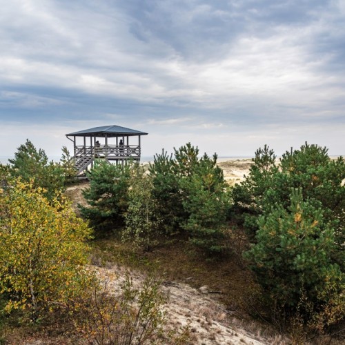 Индивидуальное путешествие по Калининграду и балтийским берегам