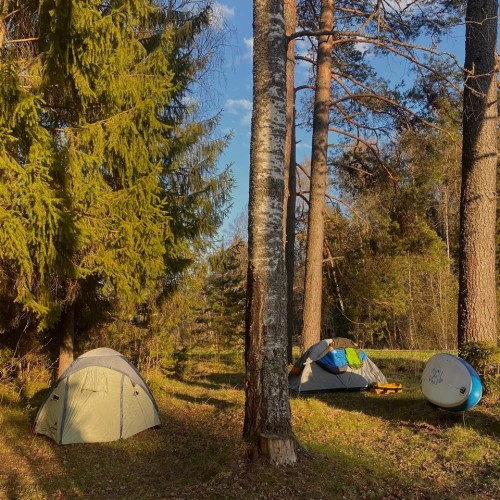 На сапбордах по реке Оредеж в мини-группе со съёмкой