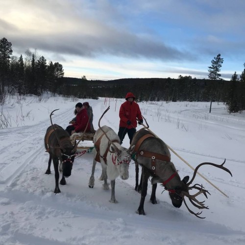 Насыщенные выходные на Кольском: Териберка, Мурманск, культура саамов, морская прогулка и сияние