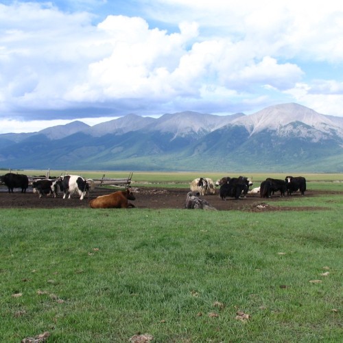На внедорожнике по Бурятии и Монголии: 3 дня с видом на вершины Восточного Саяна (мини-группа)