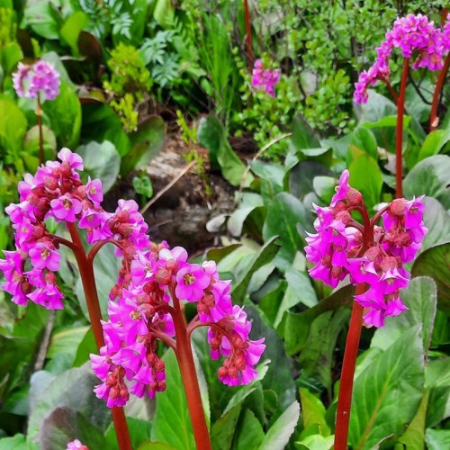 Сказочные Саяны: треккинг в природном парке «Ергаки»