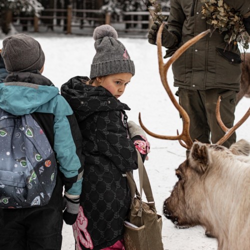 Прогулка на лошадях и визит к северным оленям