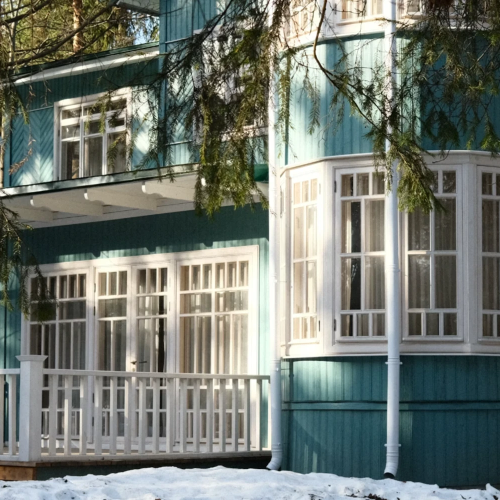 Переделкино с местным жителем и членом Союза писателей