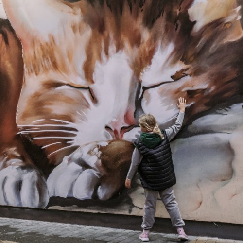 Первый раз в Калининград: истории знаковых мест и редко посещаемых локаций