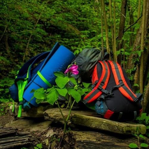 Запах разнотравья и никого вокруг: поход с рюкзаками по долине реки Пшада (всё включено)